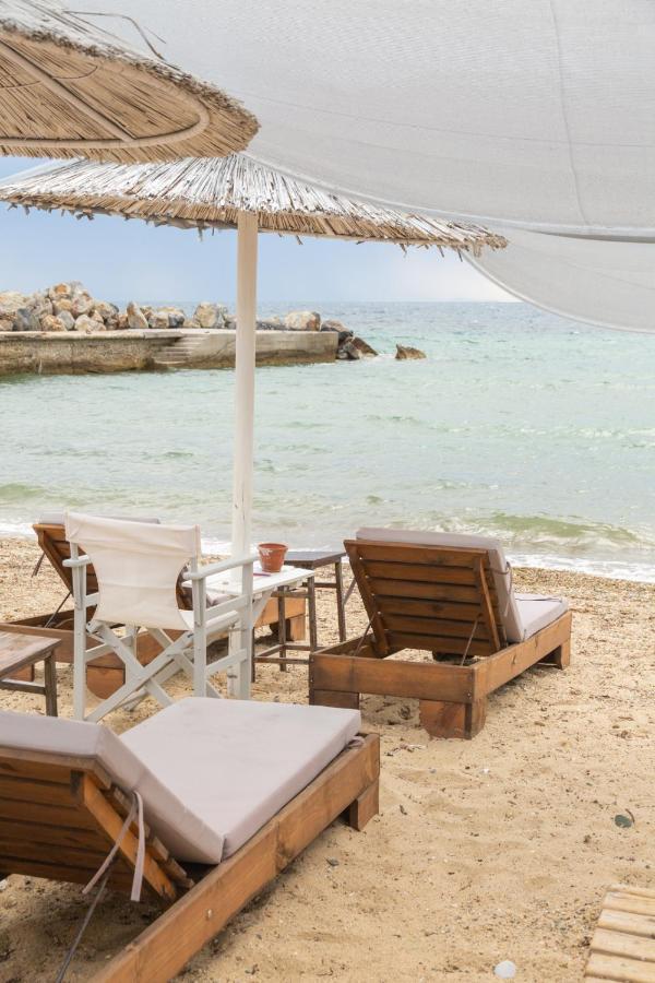 The Ocean House *
